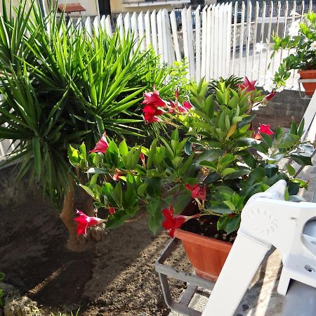 White Lady B&B Pompei Ngoại thất bức ảnh
