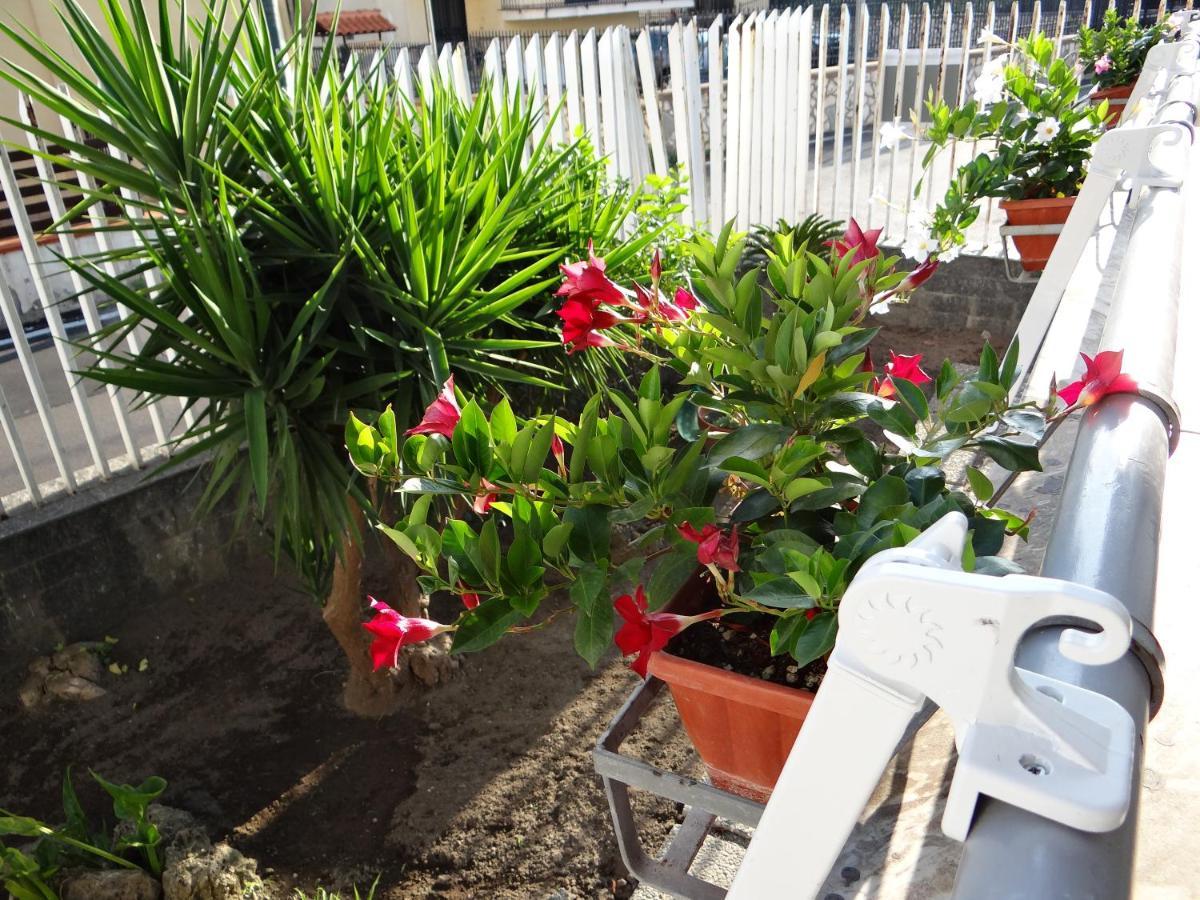 White Lady B&B Pompei Ngoại thất bức ảnh
